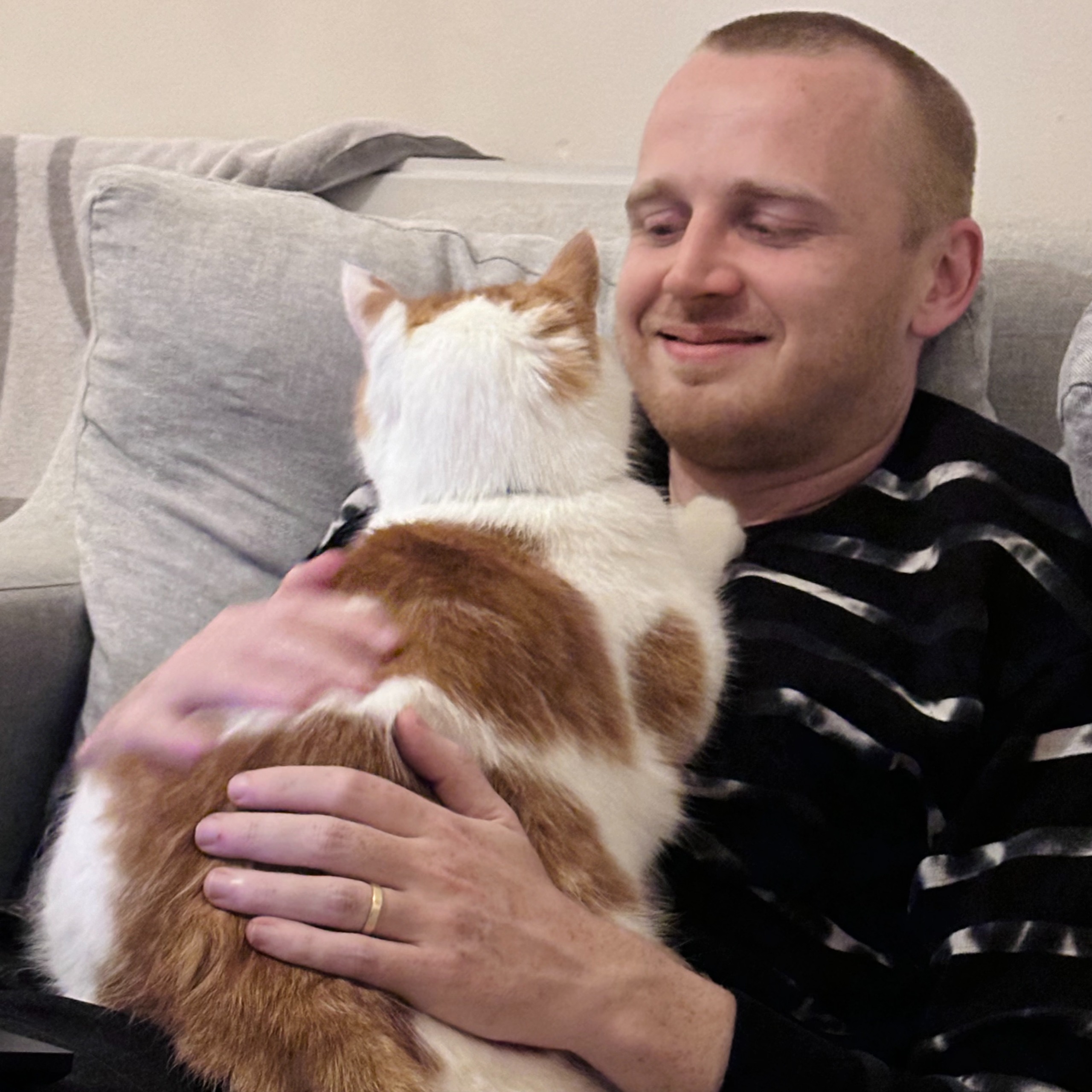 Cat 4